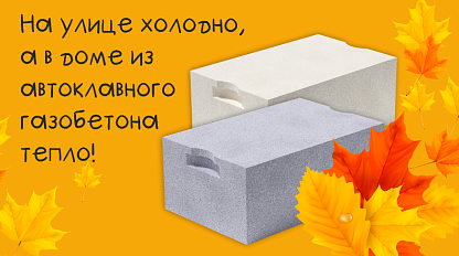 Осень в Красноярске 2025